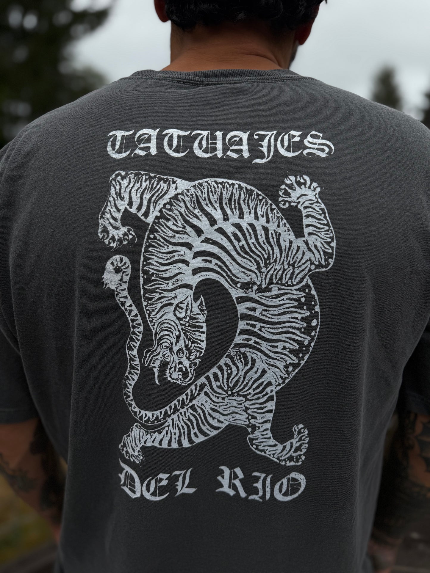 Tiger Snake